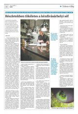 Krónika XXI. évfolyam, 63. szám