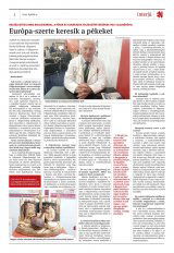 Krónika XXI. évfolyam, 65. szám