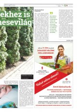 Székelyhon napilap I. évfolyam, 66. szám