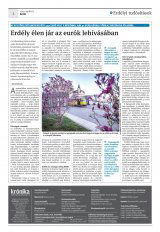 Krónika XXI. évfolyam, 67. szám
