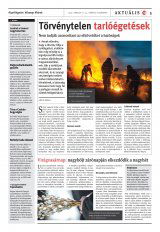 Székelyhon napilap I. évfolyam, 71. szám