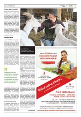 Székelyhon napilap I. évfolyam, 71. szám