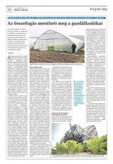 Krónika XXI. évfolyam, 71. szám