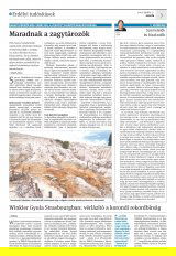 Krónika XXI. évfolyam, 74. szám