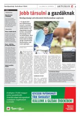 Székelyhon napilap I. évfolyam, 75. szám