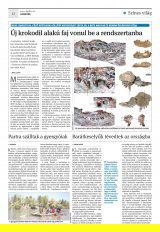 Krónika XXI. évfolyam, 75. szám