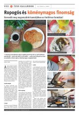 Székelyhon napilap I. évfolyam, 77. szám