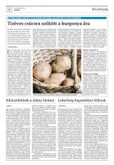 Krónika XXI. évfolyam, 77. szám