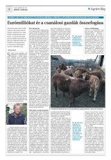 Krónika XXI. évfolyam, 79. szám