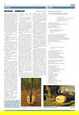 Krónika XXI. évfolyam, 83. szám