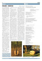 Székelyhon napilap I. évfolyam, 83. szám