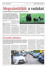 Székelyhon napilap I. évfolyam, 89. szám