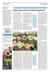 Krónika XXI. évfolyam, 89. szám