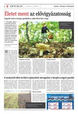 Székelyhon napilap I. évfolyam, 91. szám