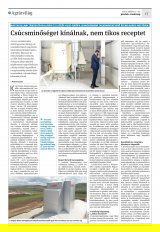 Krónika XXI. évfolyam, 92. szám