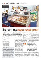 Székelyhon napilap I. évfolyam, 95. szám
