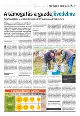 Székelyhon napilap I. évfolyam, 112. szám