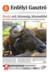 Székelyhon napilap I. évfolyam, 114. szám