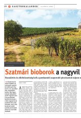 Székelyhon napilap I. évfolyam, 119. szám