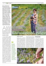 Székelyhon napilap I. évfolyam, 121. szám