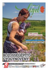 Székelyhon napilap I. évfolyam, 121. szám