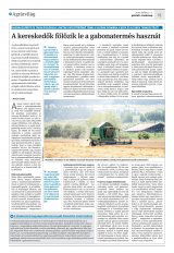 Krónika XXI. évfolyam, 126. szám