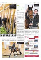 Székelyhon napilap I. évfolyam, 136. szám