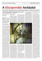 Székelyhon napilap I. évfolyam, 138. szám