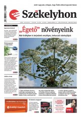 I. évfolyam, 139. szám
