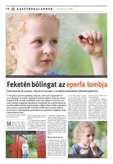Székelyhon napilap I. évfolyam, 144. szám