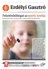 Székelyhon napilap I. évfolyam, 144. szám