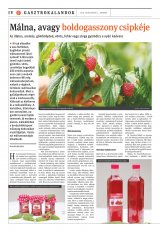 Székelyhon napilap I. évfolyam, 149. szám