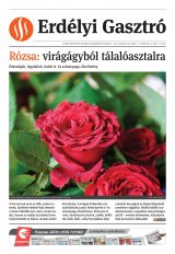 Székelyhon napilap I. évfolyam, 163. szám