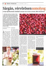 Székelyhon napilap I. évfolyam, 168. szám