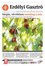 Székelyhon napilap I. évfolyam, 168. szám