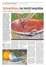 Székelyhon napilap I. évfolyam, 173. szám