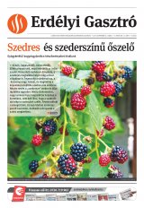 Székelyhon napilap I. évfolyam, 178. szám