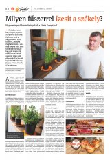 Székelyhon napilap I. évfolyam, 203. szám