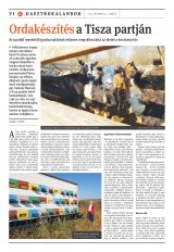 Székelyhon napilap I. évfolyam, 208. szám