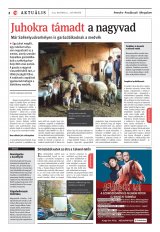 Székelyhon napilap I. évfolyam, 209. szám