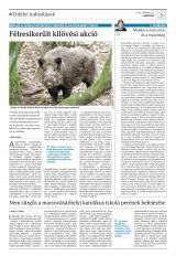 Krónika XXI. évfolyam, 209. szám