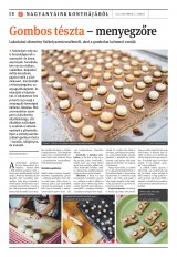 Székelyhon napilap I. évfolyam, 213. szám