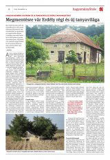 Krónika XXI. évfolyam, 219. szám