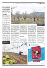 Székelyhon napilap I. évfolyam, 228. szám