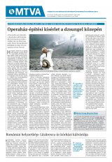 Krónika XXI. évfolyam, 228. szám