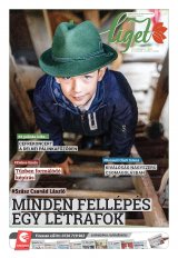 Székelyhon napilap I. évfolyam, 230. szám