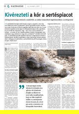 Székelyhon napilap I. évfolyam, 231. szám