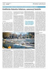Krónika XXI. évfolyam, 234. szám