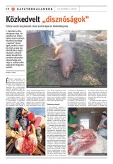 Székelyhon napilap I. évfolyam, 238. szám