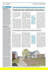 Krónika XXI. évfolyam, 239. szám